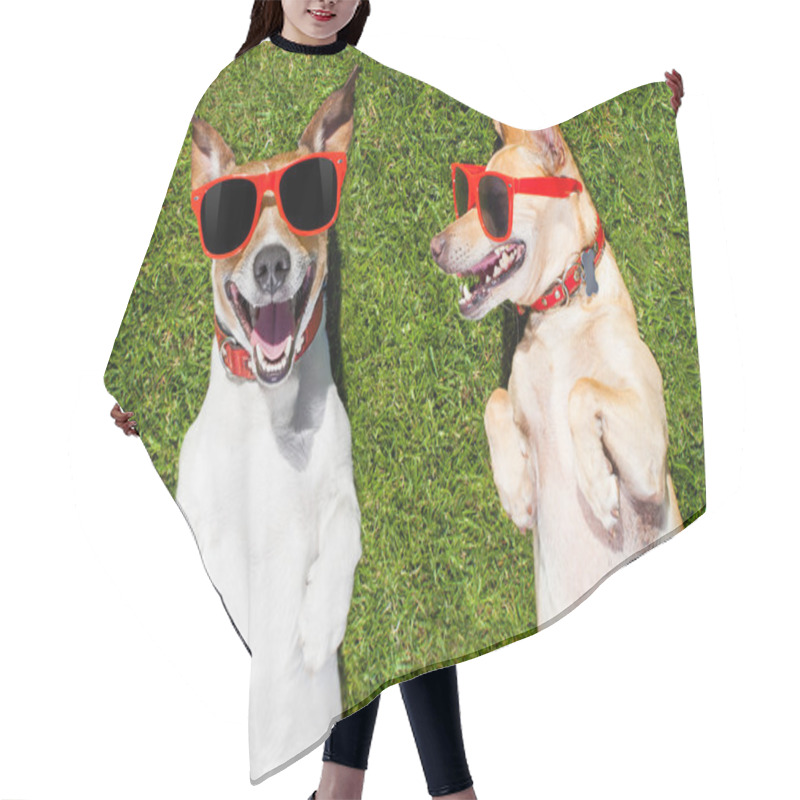 Personality  Two Funny Dogs Hair Cutting Cape