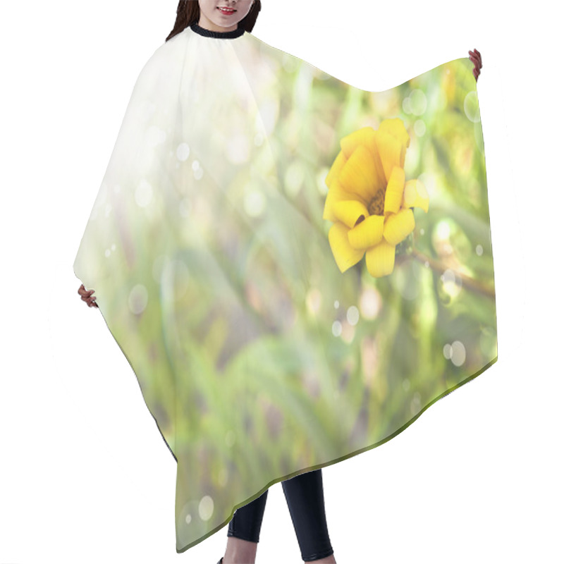 Personality  Little Yellow Flower Hair Cutting Cape