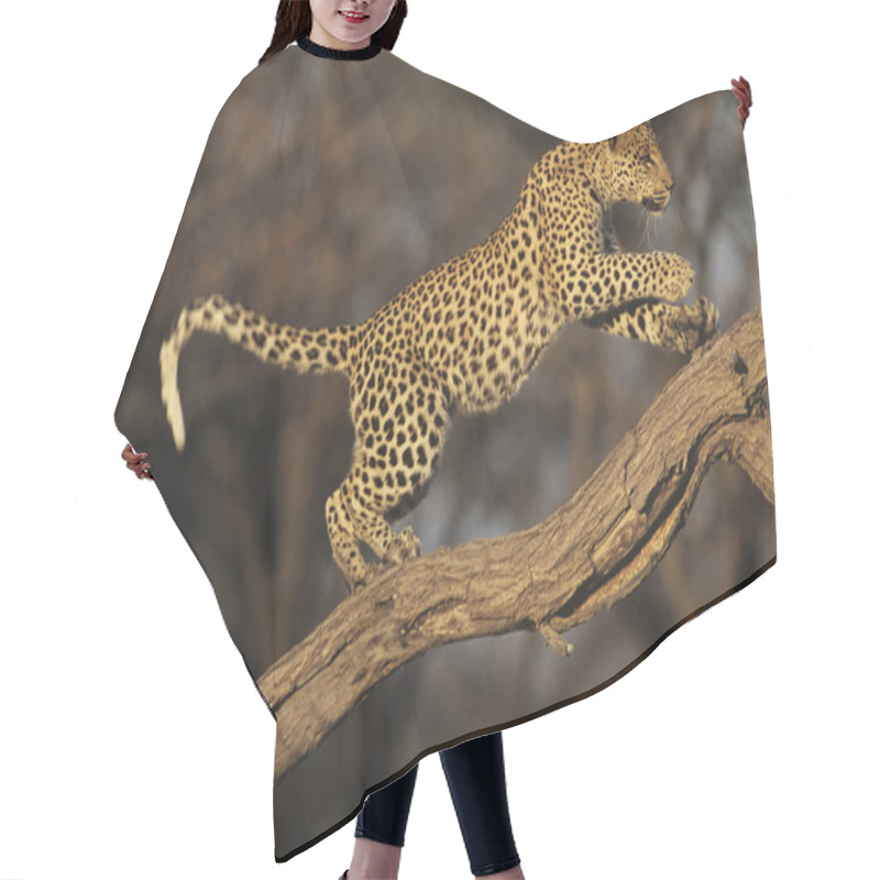 Personality  Leopard On Branch Hair Cutting Cape