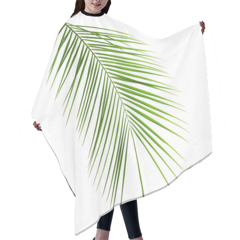 Personality  Fresh Tropical Date Palm Leaf On White Background Hair Cutting Cape