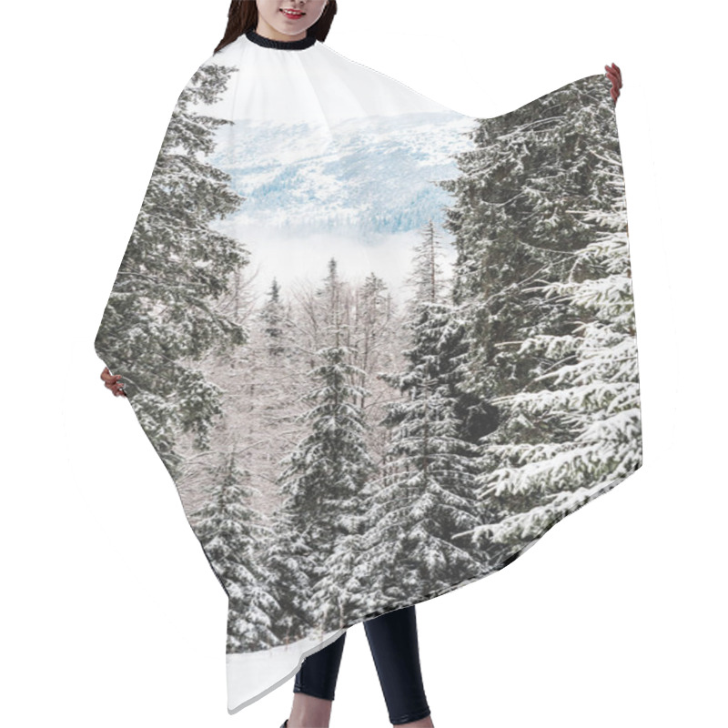 Personality  Scenic View Of Snowy Mountains With Pine Trees Hair Cutting Cape