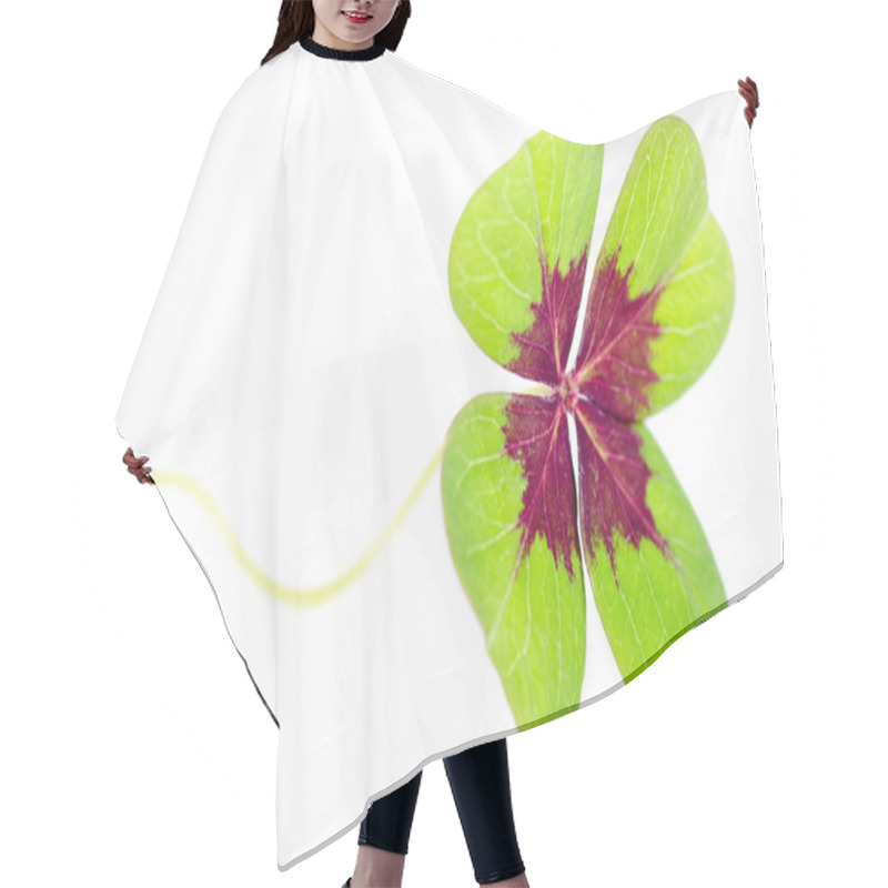 Personality  Fourleaved Cloverleaf With Stern Hair Cutting Cape