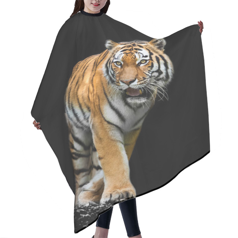 Personality  Tiger On Black Background Hair Cutting Cape