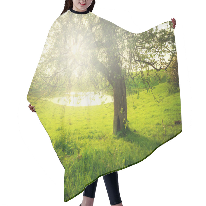 Personality  Landscape With Tree Hair Cutting Cape