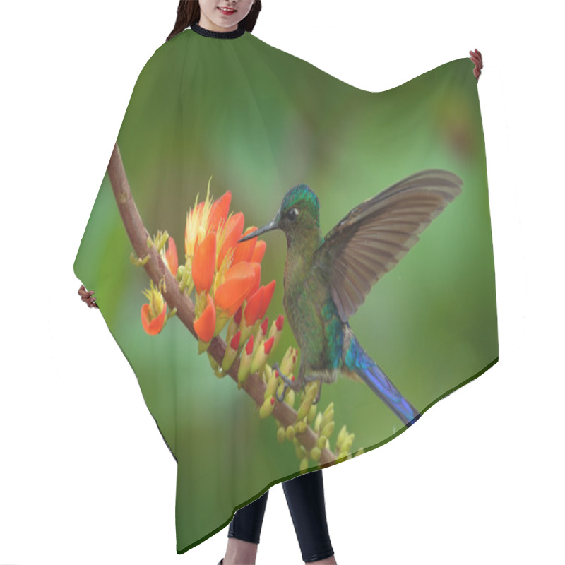 Personality  Long-tailed Sylph Hair Cutting Cape