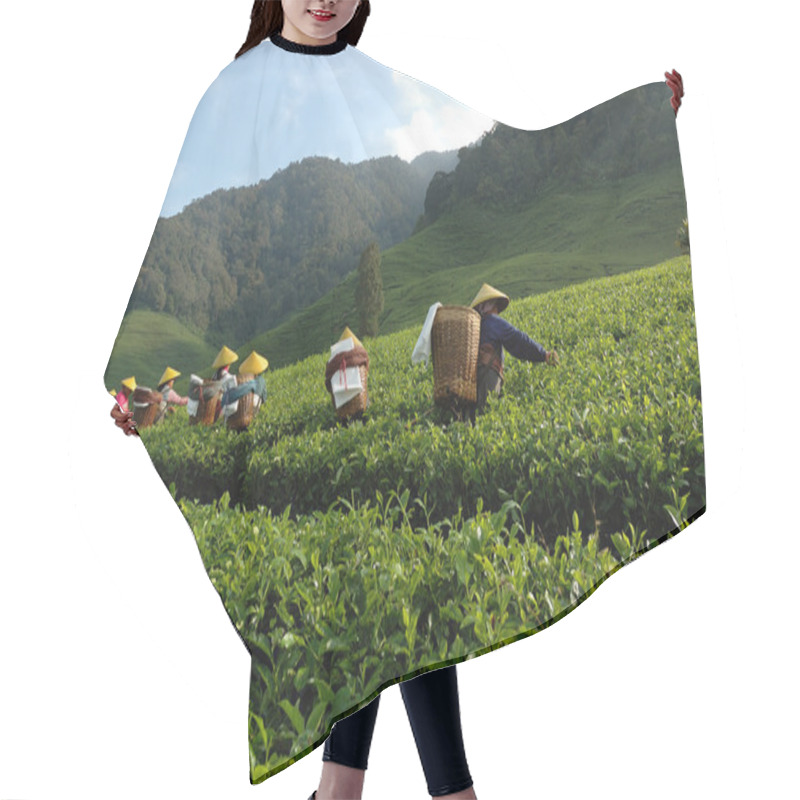 Personality  Picking Up Tea Hair Cutting Cape