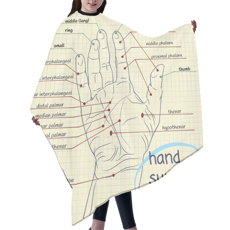 Personality  Hand Surface Anatomy Hair Cutting Cape