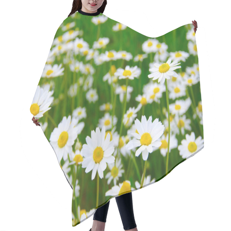 Personality   Camomiles On Green Field Hair Cutting Cape