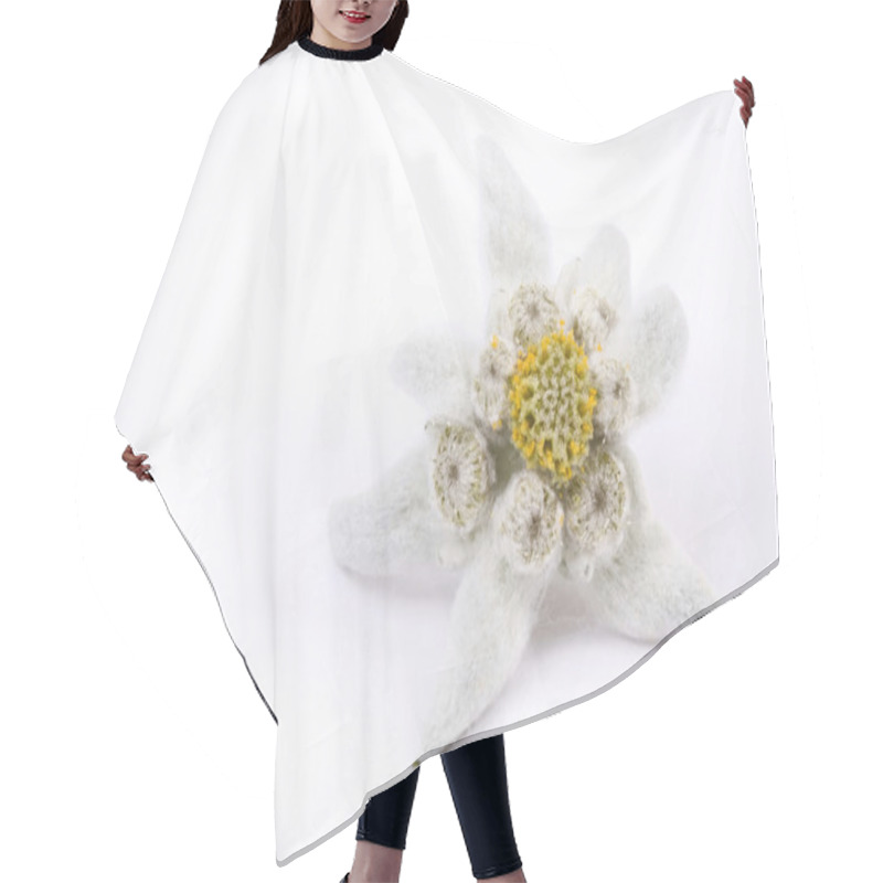 Personality  Edelweiss Hair Cutting Cape