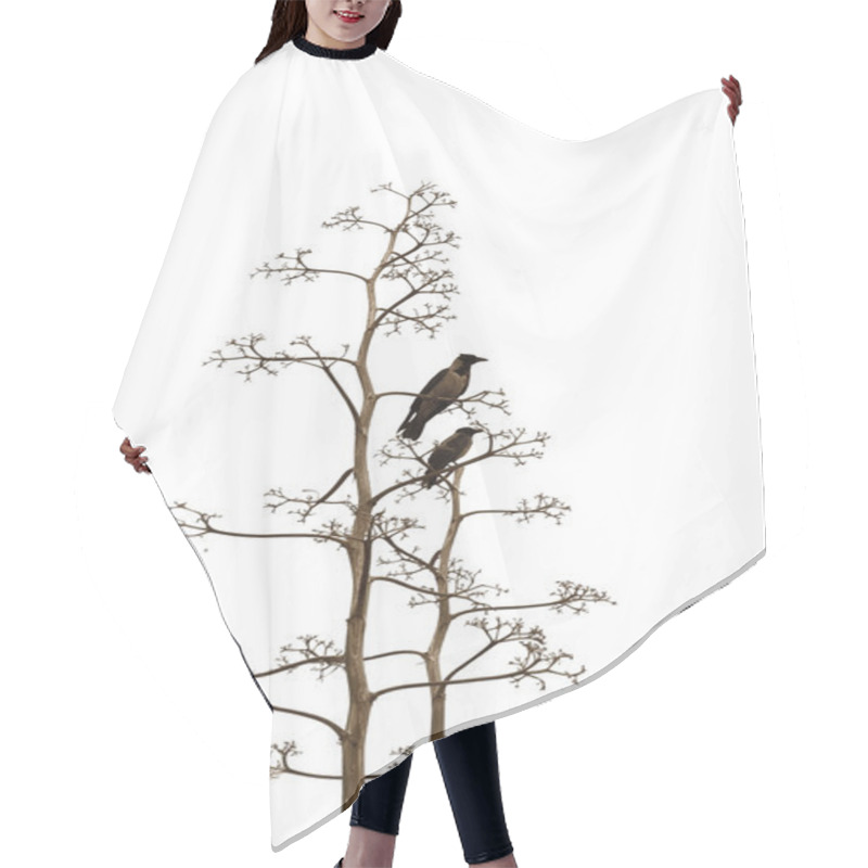 Personality  Two Birds On White Background Hair Cutting Cape