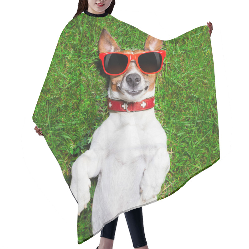 Personality  Very Funny Dog Hair Cutting Cape