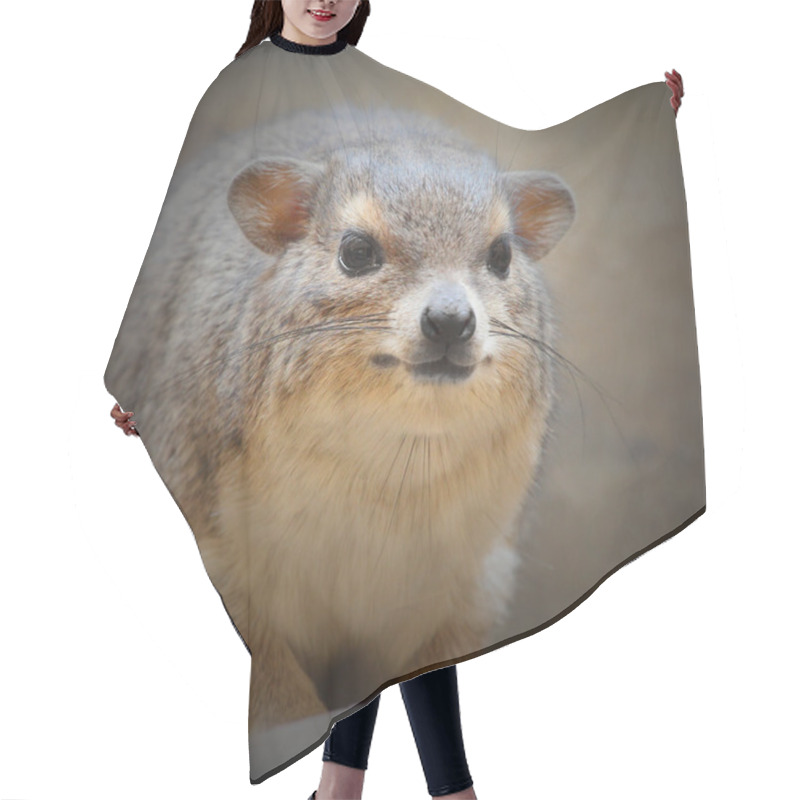 Personality  The Rock Hyrax Hair Cutting Cape