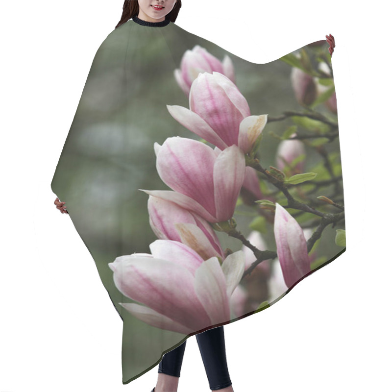 Personality  Magnolia Blossom In Spring, Flowers Hair Cutting Cape