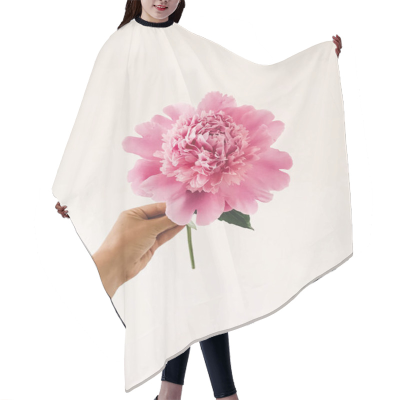 Personality  Hand Holding Big Pink Peony Flowers On White Background. Florist Arranging Floral Decor For Celebration. Hello Spring Concept Hair Cutting Cape