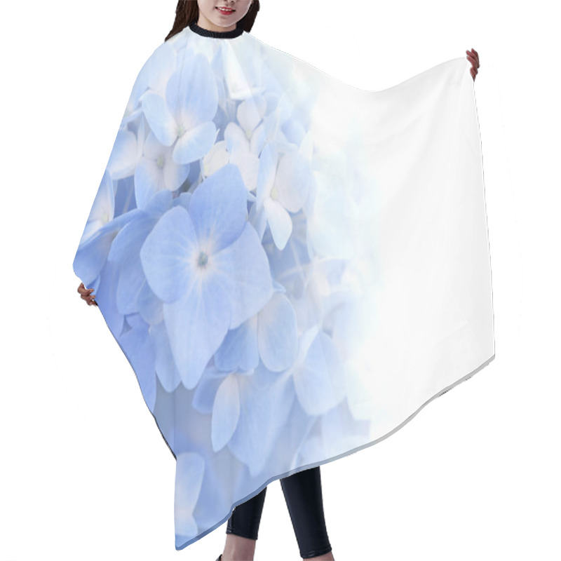 Personality  Beautiful Petal Of Blue Hydrangea Or Hortensia Flowers (Hydrangea Macrophylla) Fading Into White Background. Soft Dreamy Feel. Nature Background. Hair Cutting Cape