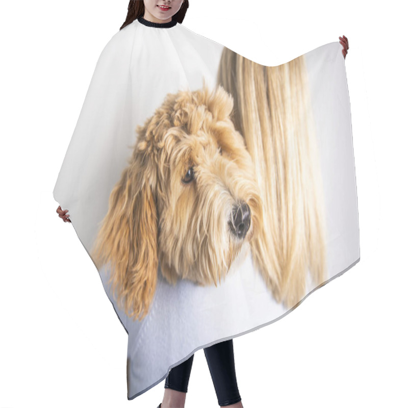 Personality  Woman With His Golden Labradoodle Dog Isolated On White Background Hair Cutting Cape