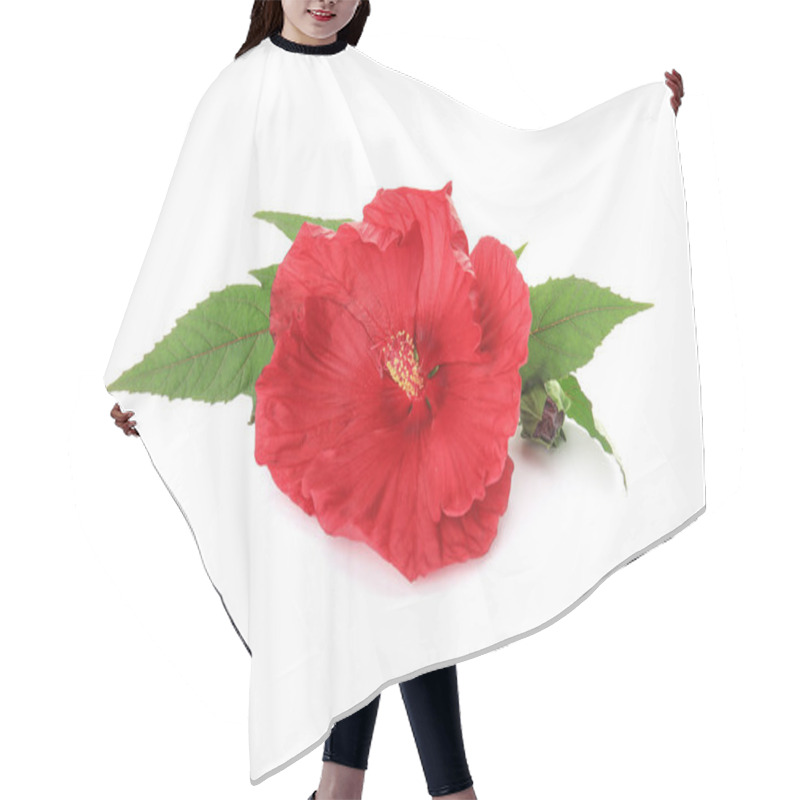 Personality  Beautiful Red Hibiscus Flower On White Background Hair Cutting Cape