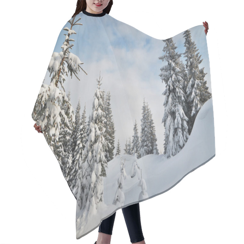 Personality  Winter In The Mountain Forest Hair Cutting Cape