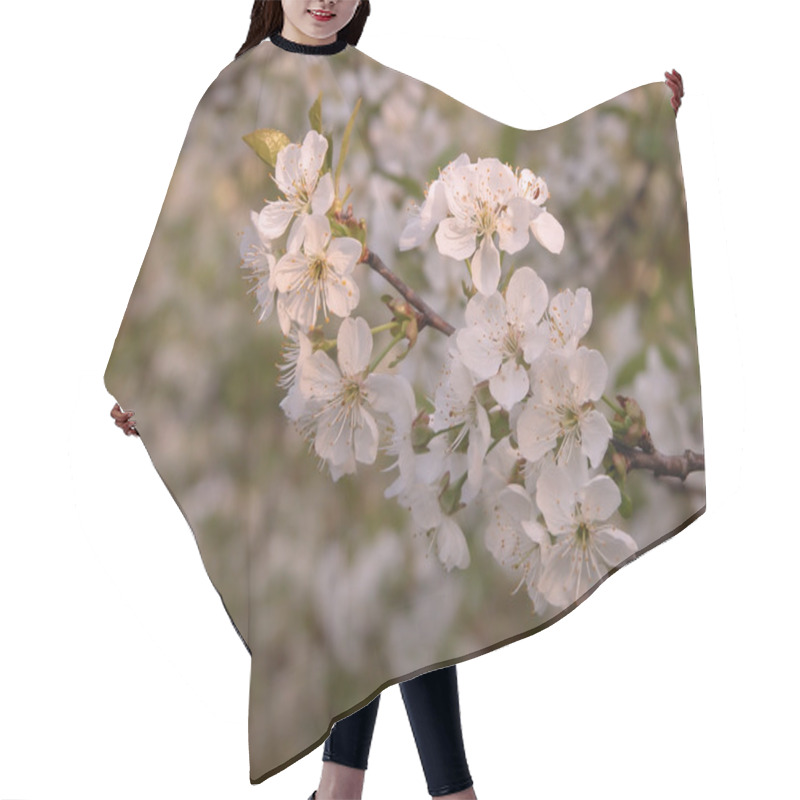 Personality  Thriving Branch Hair Cutting Cape