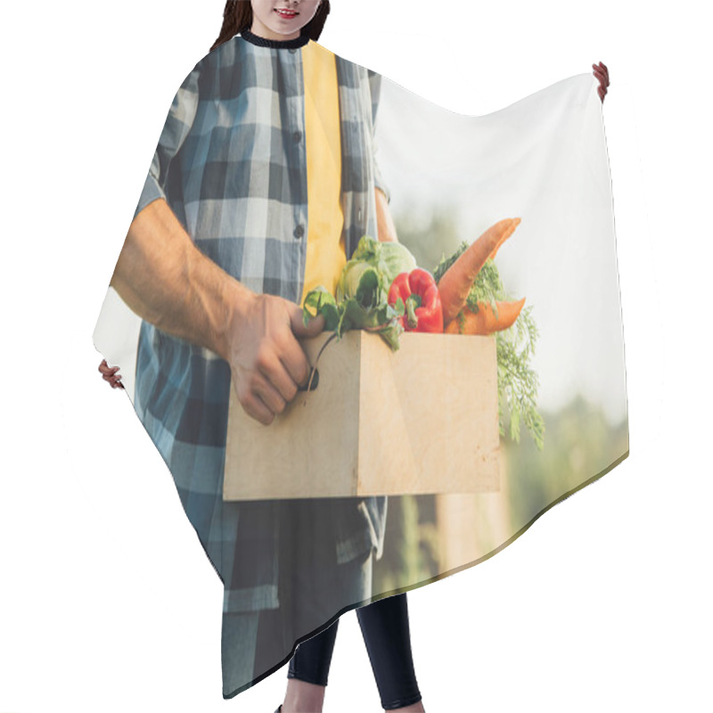 Personality  Partial View Of Farmer In Plaid Shirt Holding Box With Ripe Vegetables  Hair Cutting Cape