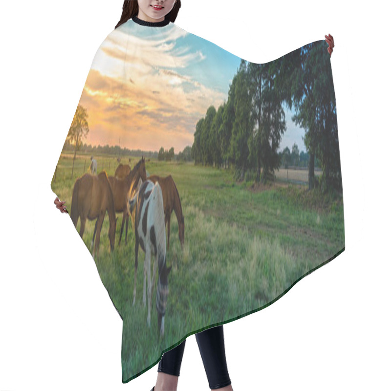 Personality  Scenic View Of Grazing Horses In Autumn On A Horse Pasture Hair Cutting Cape