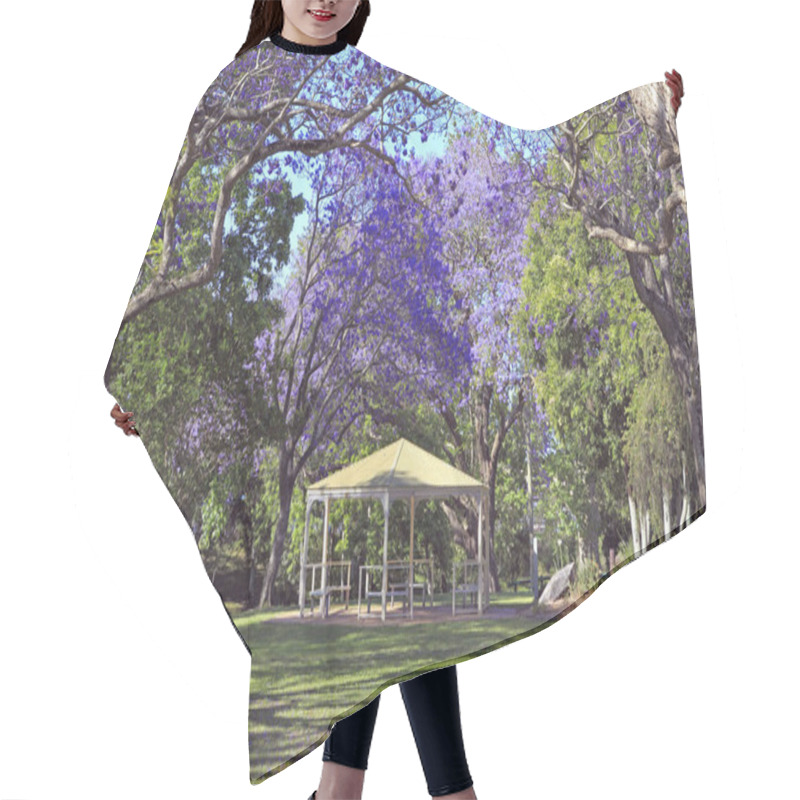 Personality  Park With Pergola And Jacaranda Trees, Grafton, Nsw, Australia Hair Cutting Cape