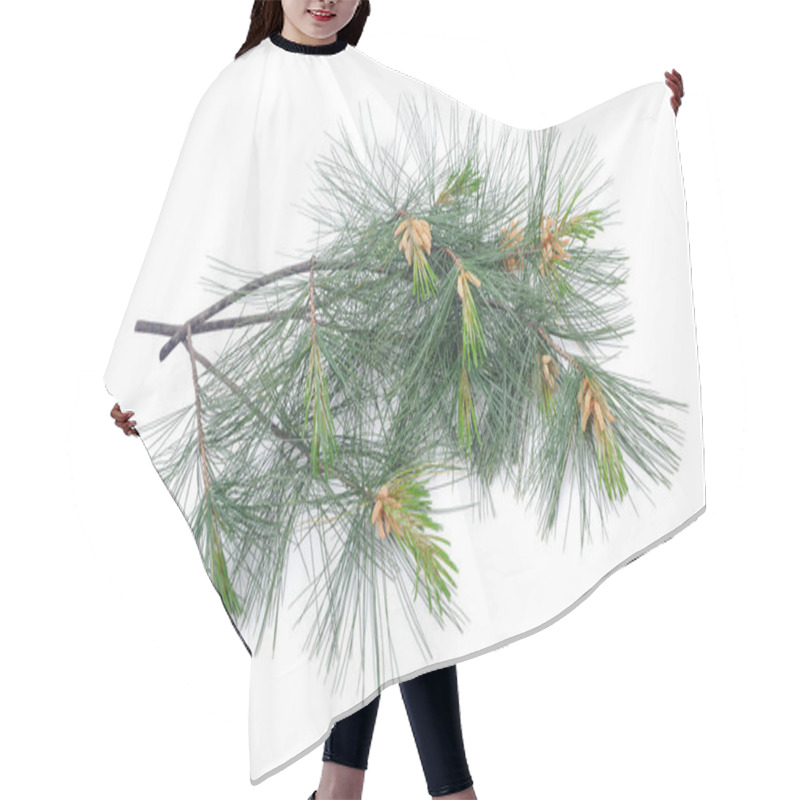 Personality  Swiss Stone Pine Hair Cutting Cape