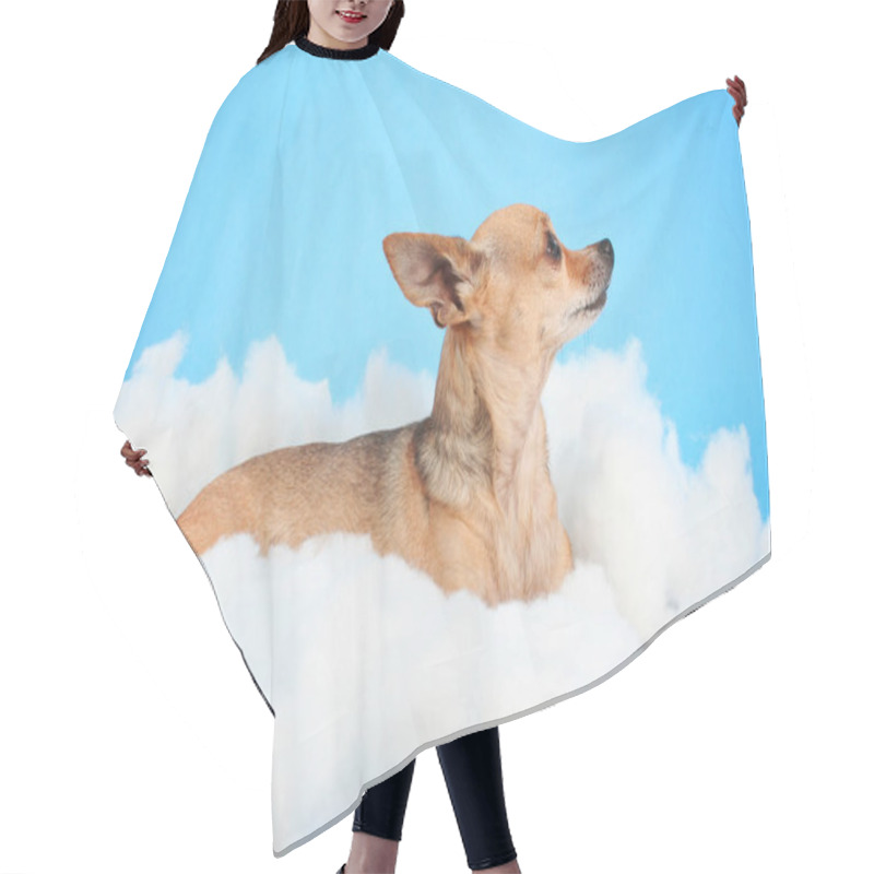 Personality   A Cute Chihuahua On Clouds Hair Cutting Cape