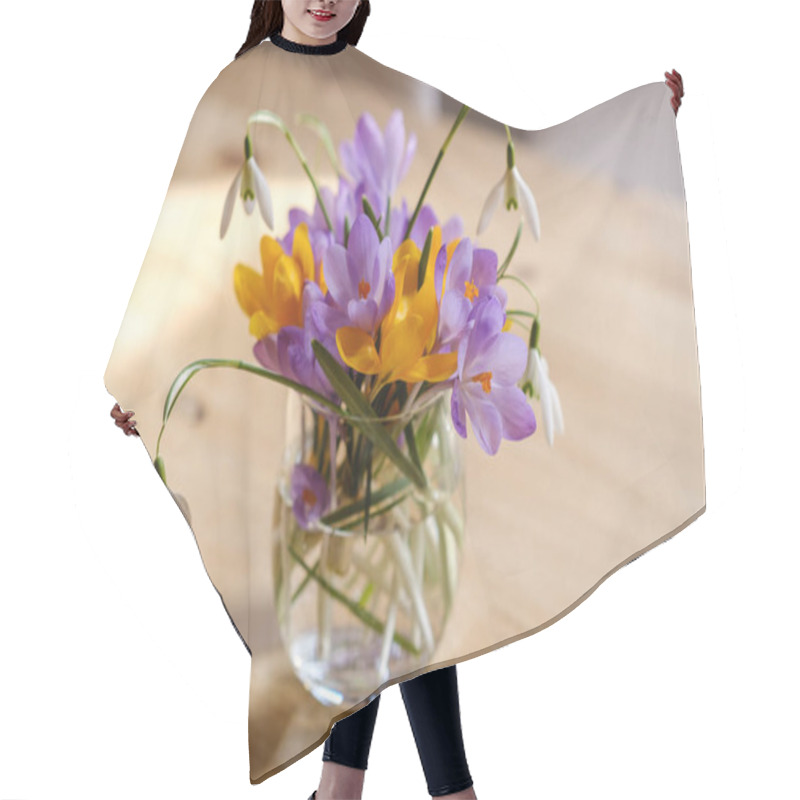 Personality  Bouquet Of Purple Crocus In Vase. Spring Flowers In A Vase. Hair Cutting Cape