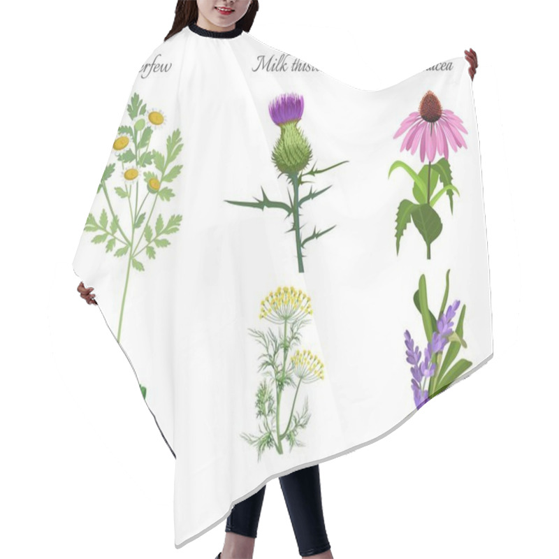 Personality  Milk Thistle And Feverfew Medical Herbs Set Vector Illustration Hair Cutting Cape