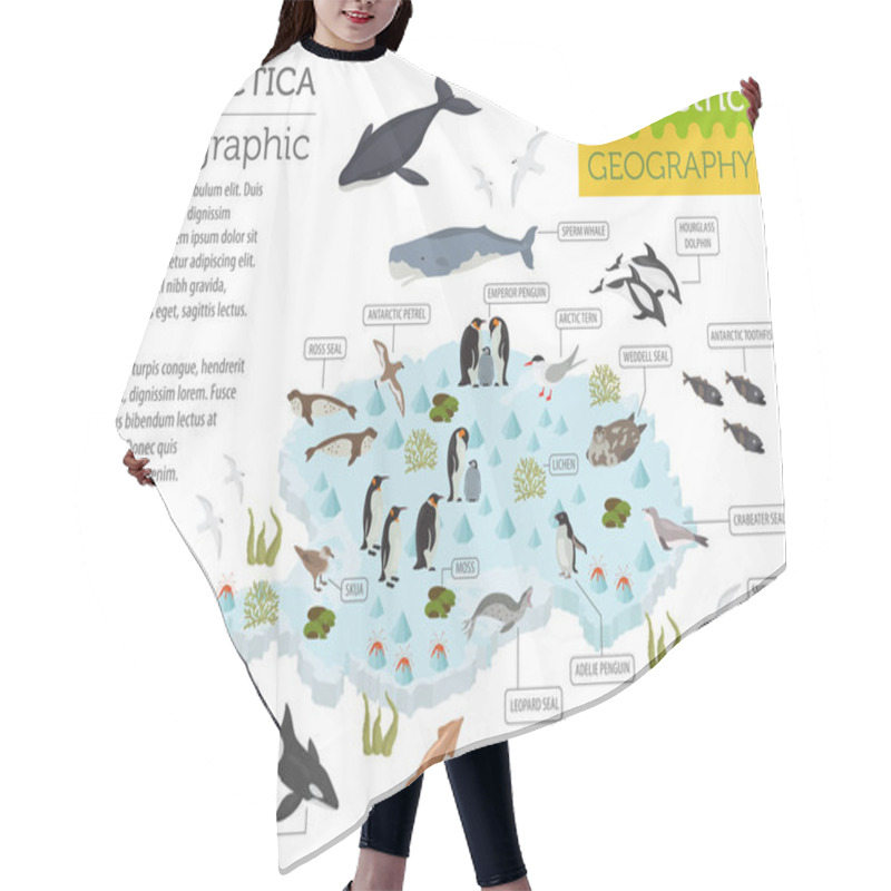 Personality  Isometric 3d Antarctica Flora And Fauna Map Elements. Animals, B Hair Cutting Cape