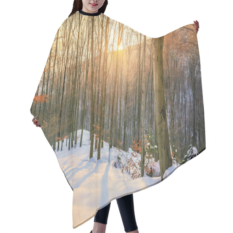 Personality  Winter In The Forest Hair Cutting Cape