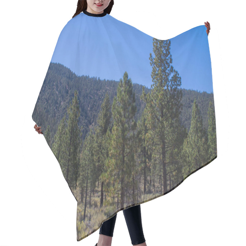 Personality  Pine Trees Grow In Mountain Meadow Hair Cutting Cape