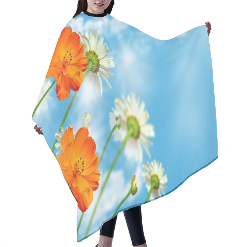 Personality  Daisy Flowers On Blue Sky Background Hair Cutting Cape