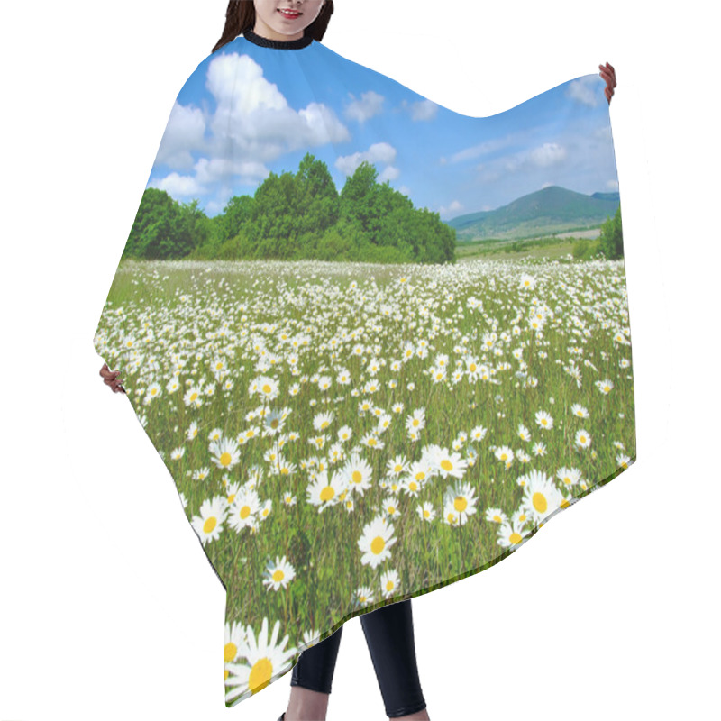 Personality  Idyllic Daisy Meadows Hair Cutting Cape