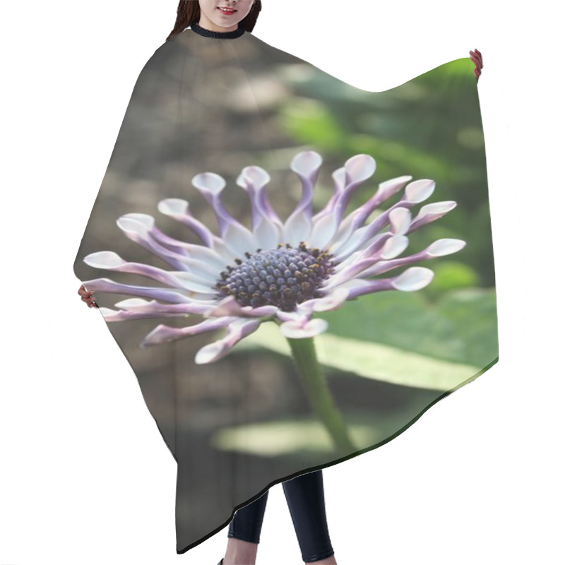 Personality  Curly Petals Hair Cutting Cape