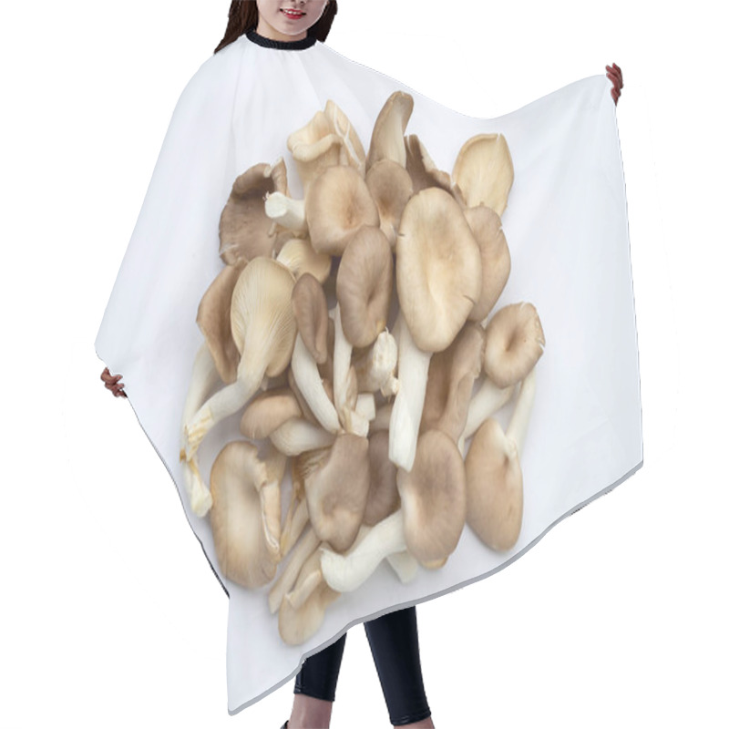 Personality  Fresh Oyster Mushroom On White Background. Hair Cutting Cape