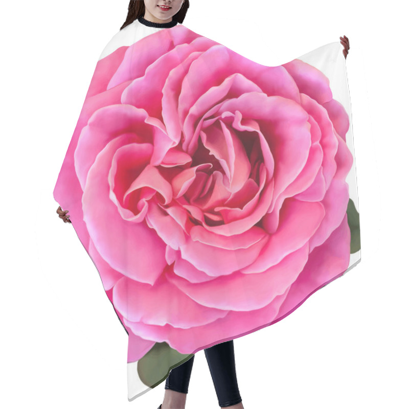 Personality  Pink Rose Flower Isolated On White Background. Vector Illustration Hair Cutting Cape