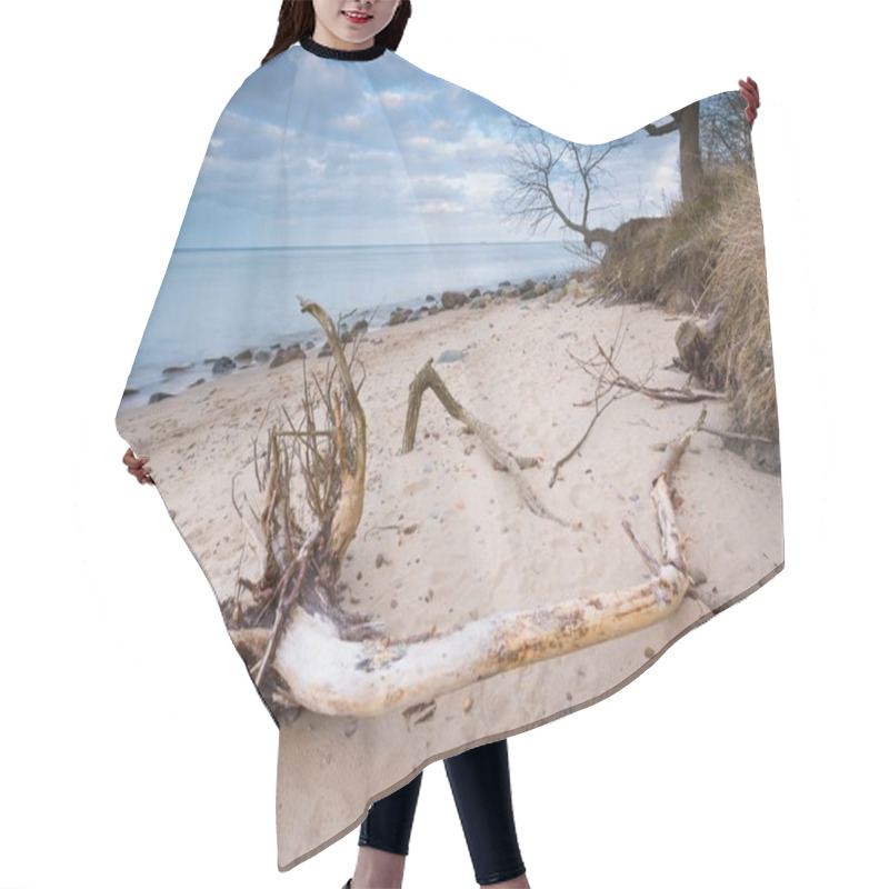 Personality  Rocky Sea Shore With Driftwood At Sunrise. Beautiful Seascape Hair Cutting Cape