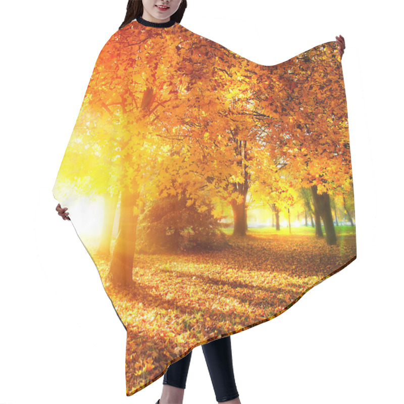 Personality  Fall. Autumnal Park. Autumn Trees And Leaves In Sunlight Rays Hair Cutting Cape