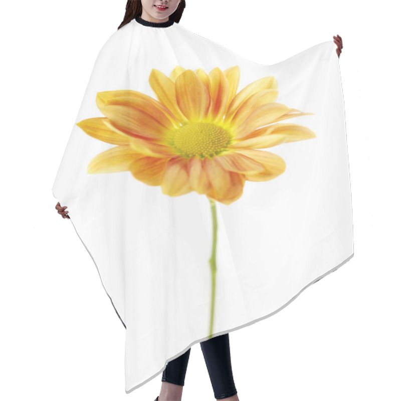 Personality  Orange Chrysanthemum Isolated On A White Background Hair Cutting Cape