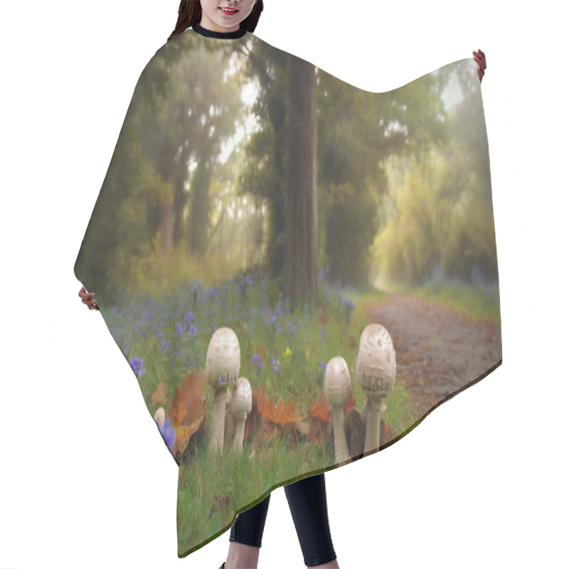 Personality  Create A Serene Scene Of Mushrooms Growing Along A Forest Path, Bordered By Vibrant Wildflowers And Falling Leaves. Hair Cutting Cape