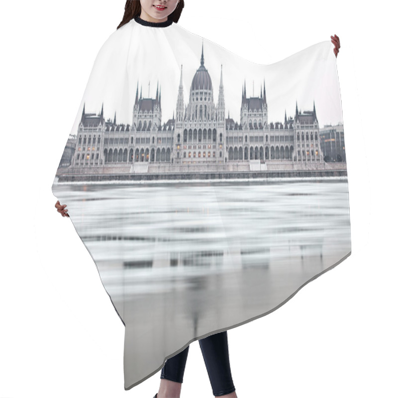 Personality  Parliament Hair Cutting Cape