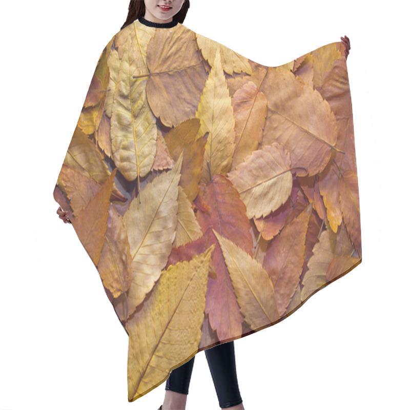 Personality  American Beech Tree Leaves Background Hair Cutting Cape