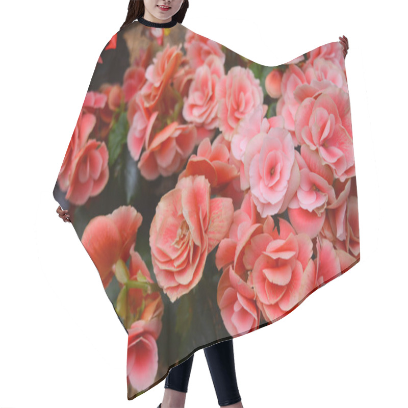 Personality  Rieger Begonias Hair Cutting Cape