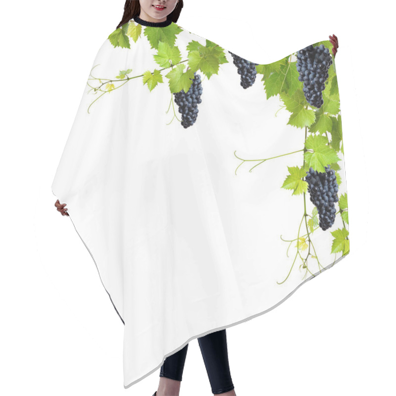 Personality  Collage Of Vine Leaves And Blue Grapes Hair Cutting Cape