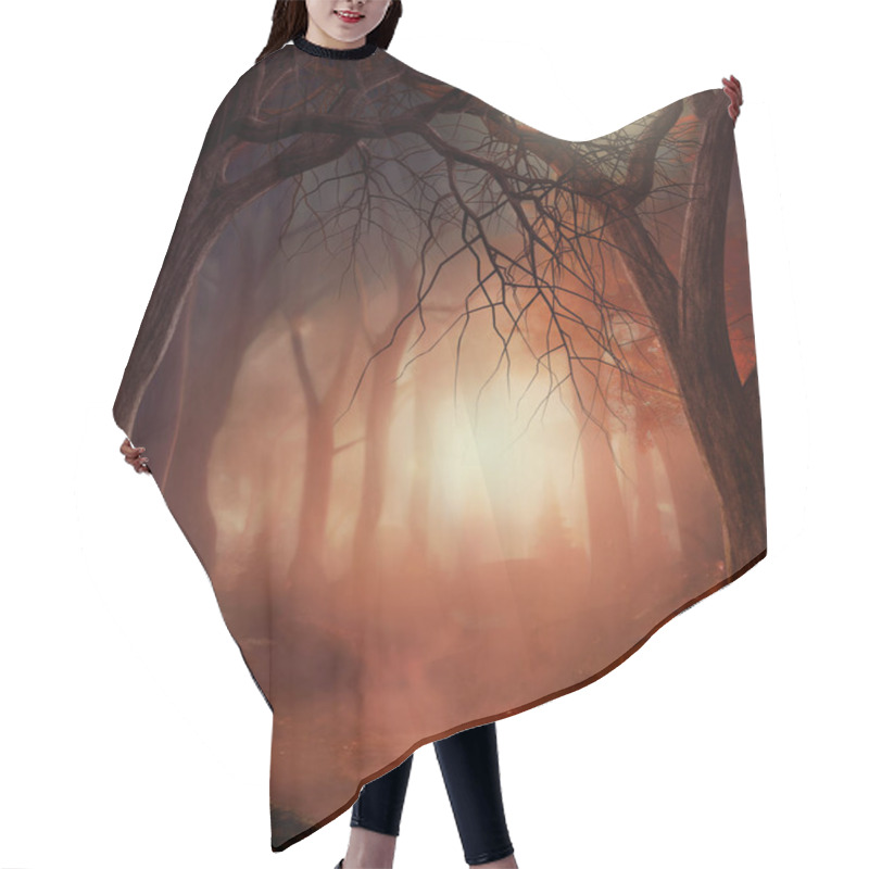 Personality  Beautiful Enchanting Foot Path Through A Fairy Tale Misty Autumn Woodland, 3d Render. Hair Cutting Cape