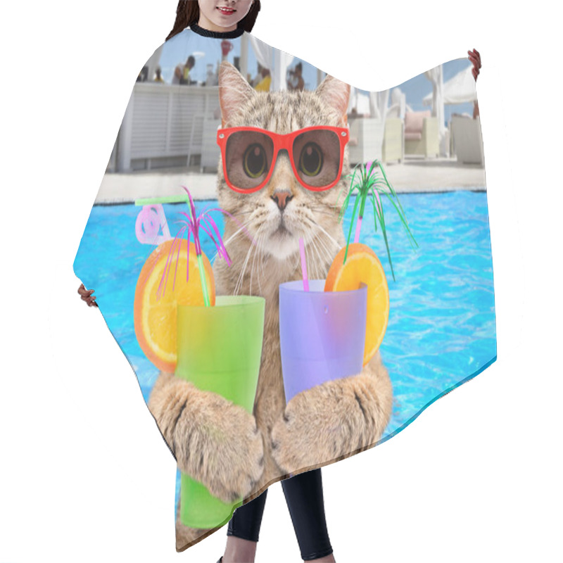 Personality  Funny Cat In Sunglasses With Cocktails In His Paws On Background Pool Hair Cutting Cape