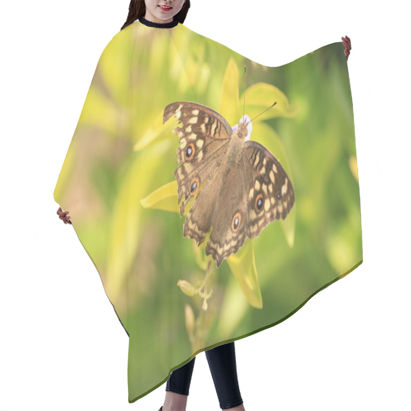 Personality  ButterFly Hair Cutting Cape