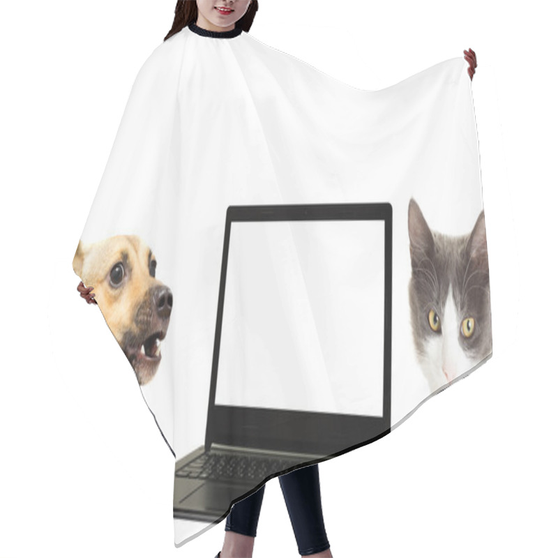 Personality  A Dog, A Cat And A Laptop Hair Cutting Cape